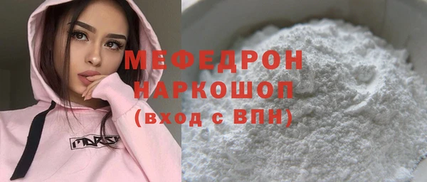 шишки Няндома