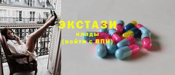 шишки Няндома