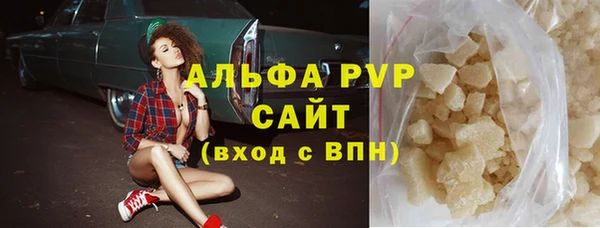 шишки Няндома