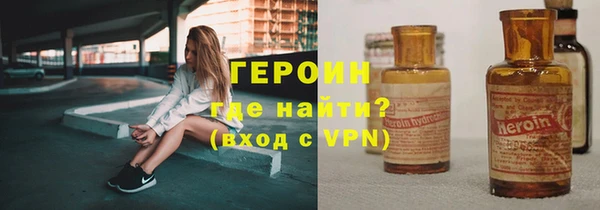 шишки Няндома