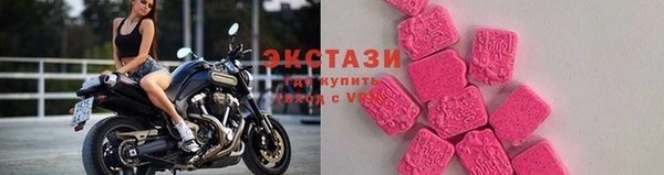 шишки Няндома