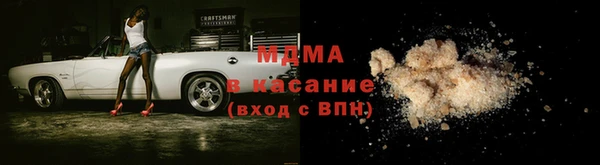шишки Няндома