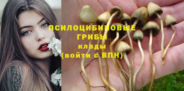 прущие крисы Нязепетровск