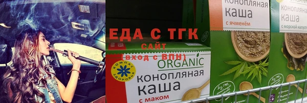 шишки Няндома