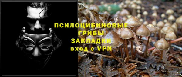 прущий лед Осинники