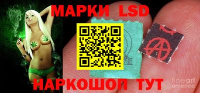 крисы Абакан