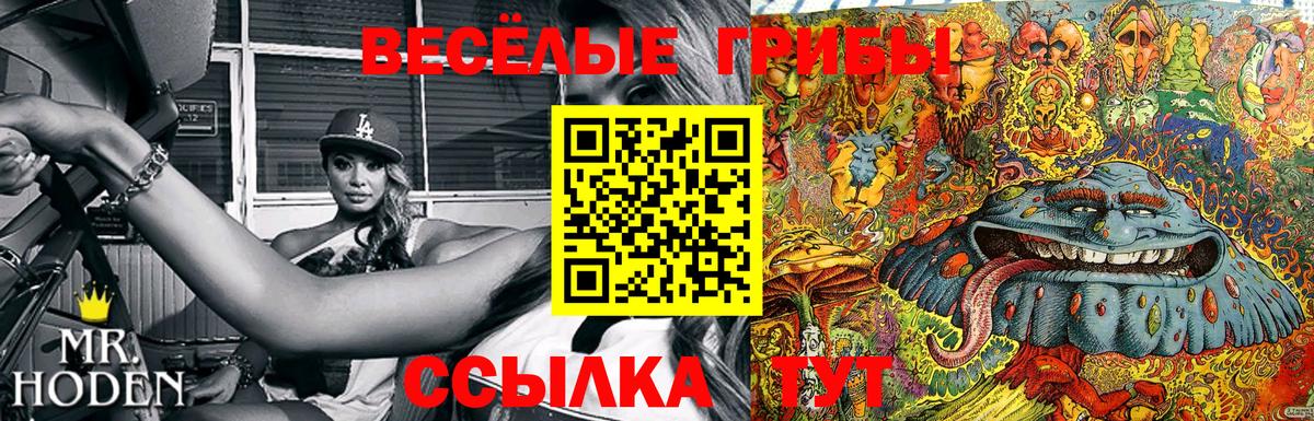 Галлюциногенные грибы прущие грибы  Искитим 