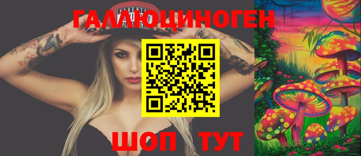 Искитим  Псилоцибиновые грибы мухоморы  Вход с VPN 